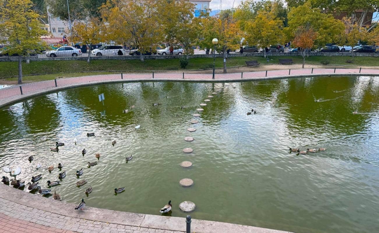 2 bedroom Flat for sale in Collado Villalba with pool - € 285,000 (Ref: 9390899)