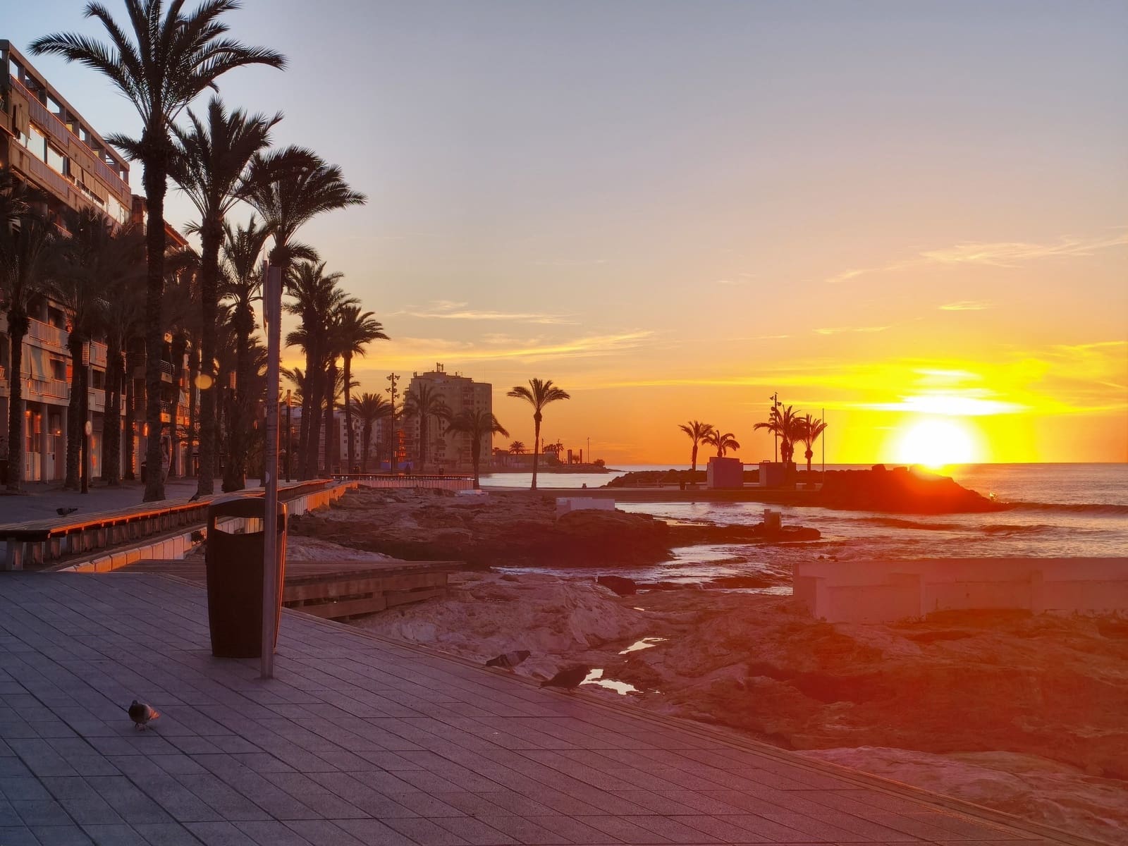 2 chambre Appartement à vendre à Torrevieja avec piscine - 125 000 € (Ref: 9816564)