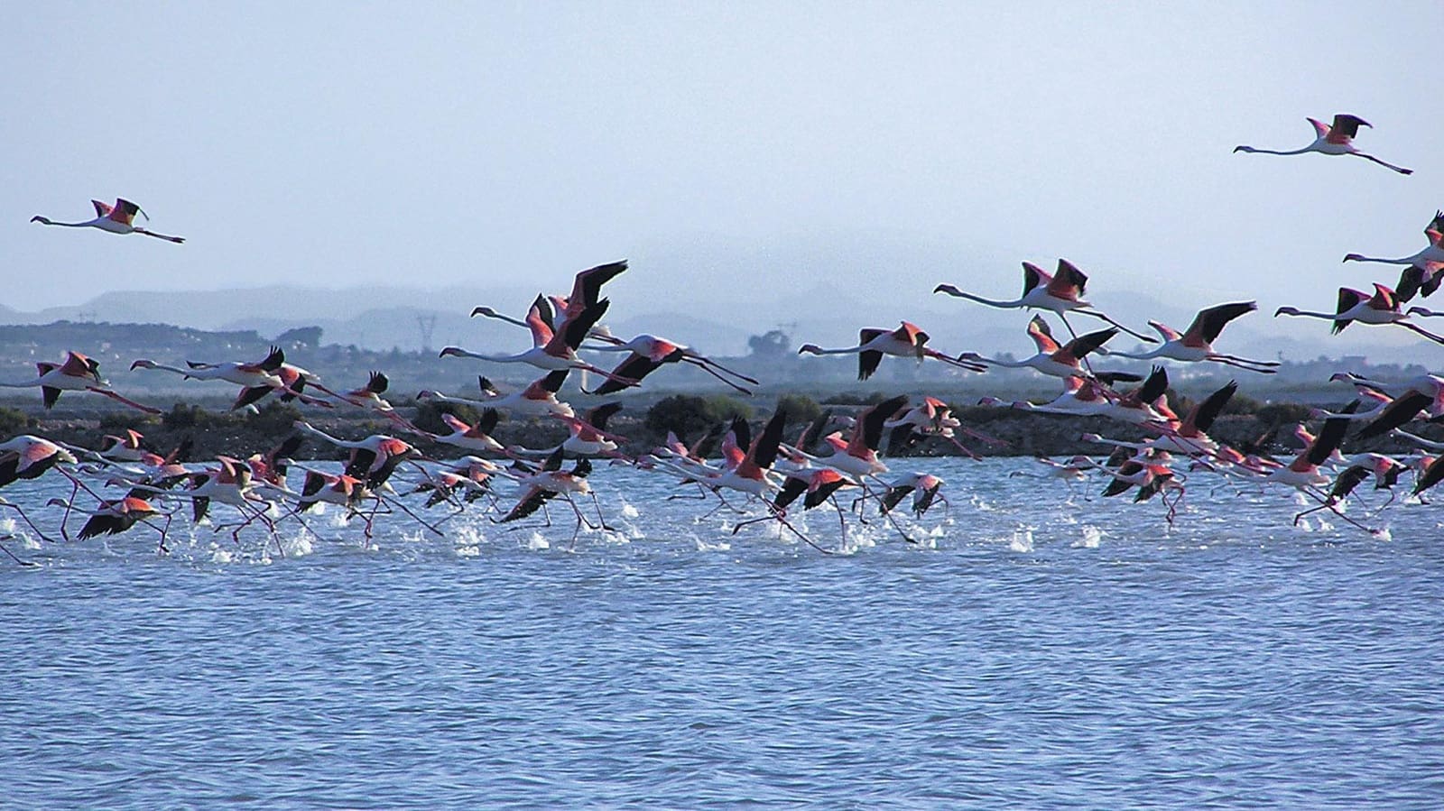 3 makuuhuone Huoneisto myytävänä paikassa Gran Alacant mukana uima-altaan - 405 000 € (Ref: 9408059)