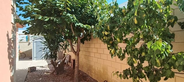 3 chambre Villa/Maison à vendre à La Romana avec piscine - 299 000 € (Ref: 9659381)