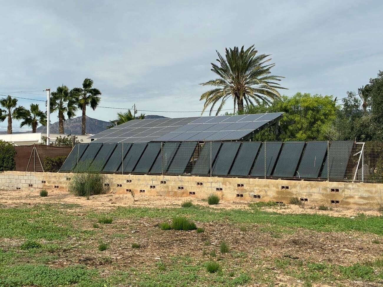 5 camera da letto Villa in vendita in Crevillente / Crevillent con piscina - 465.000 € (Rif: 9763612)