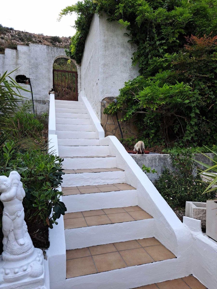 5 bedroom Villa for sale in Gandia with pool garage - € 450,000 (Ref: 8383491)