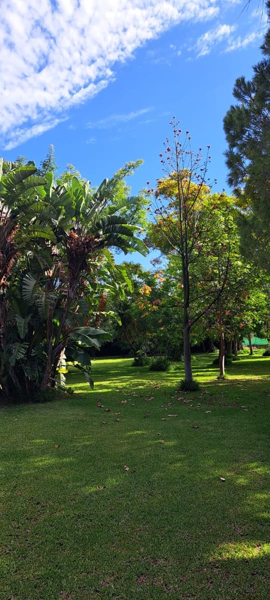 4 soverom Finca/Herregård til salgs i Ondara med svømmebasseng garasje - € 779 000 (Ref: 8567039)