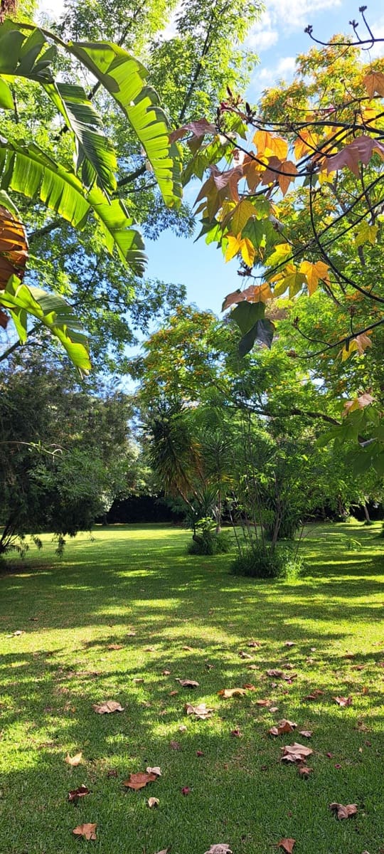 4 soverom Finca/Herregård til salgs i Ondara med svømmebasseng garasje - € 779 000 (Ref: 8567039)