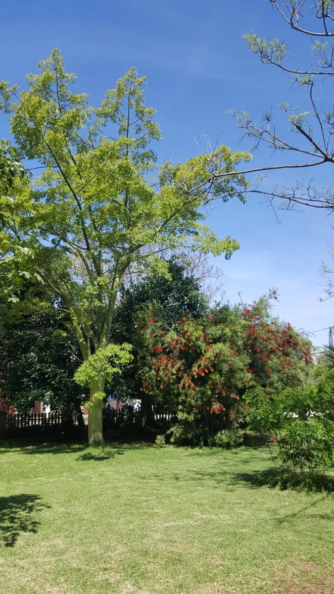 4 soverom Finca/Herregård til salgs i Ondara med svømmebasseng garasje - € 779 000 (Ref: 8567039)