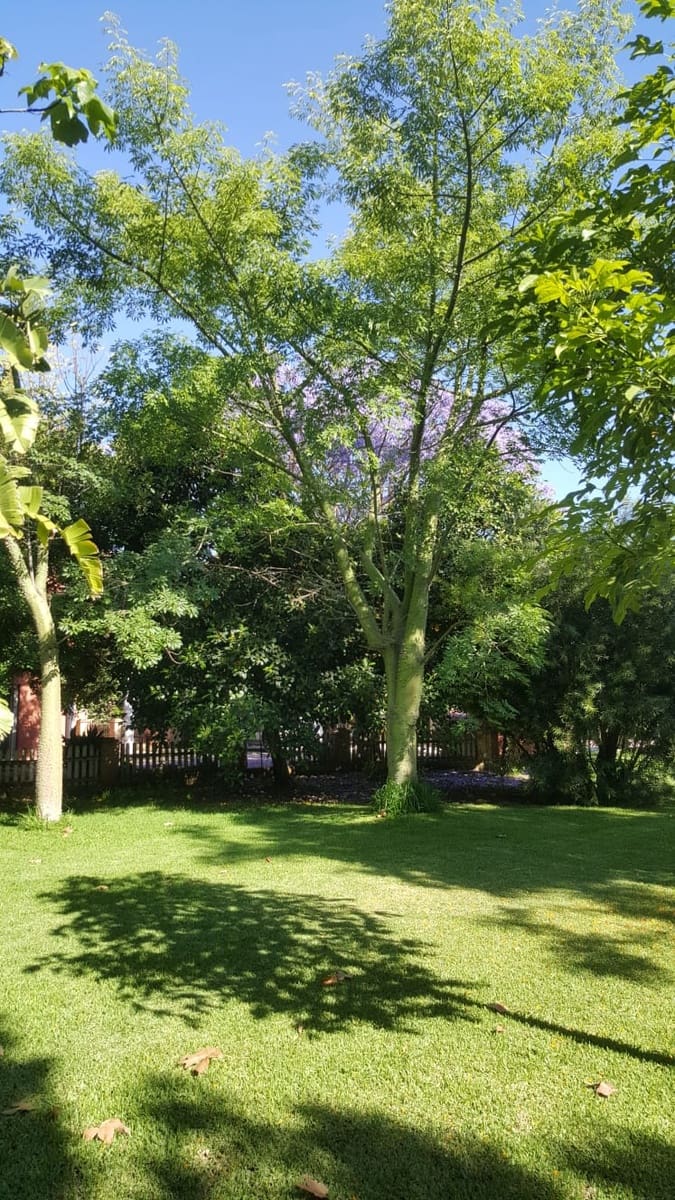 4 soverom Finca/Herregård til salgs i Ondara med svømmebasseng garasje - € 779 000 (Ref: 8567039)