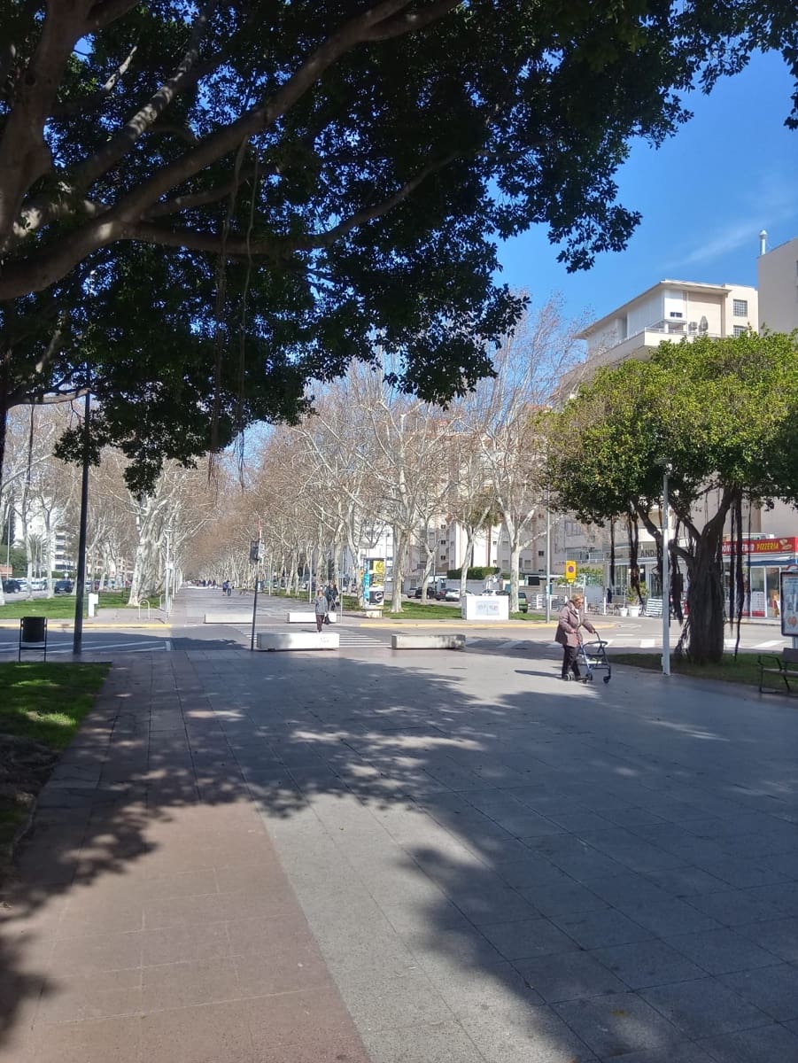 Erhverv til salg i Gandia - € 179.000 (Ref: 8776876)