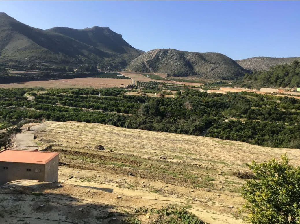 Byggegrund til salg i Ador - € 70.000 (Ref: 8924746)