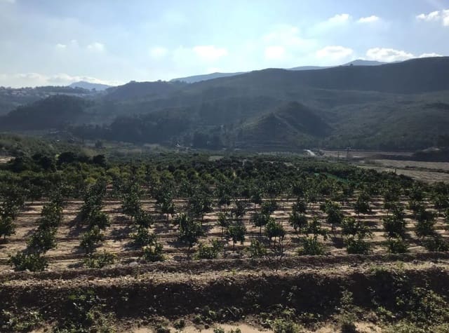 Building Plot for sale in Ador - € 70,000 (Ref: 8924746)