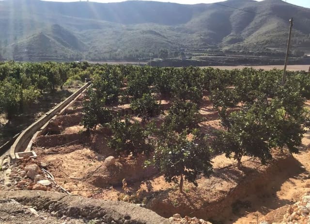 Building Plot for sale in Ador - € 70,000 (Ref: 8924746)