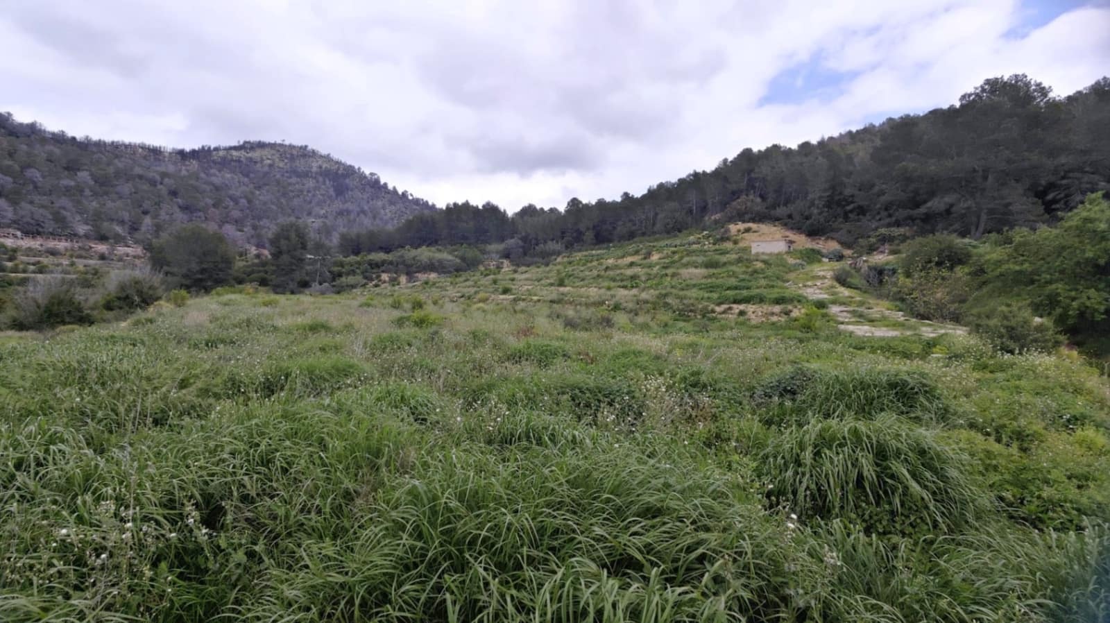 Byggegrund til salg i Ador - € 70.000 (Ref: 8924746)