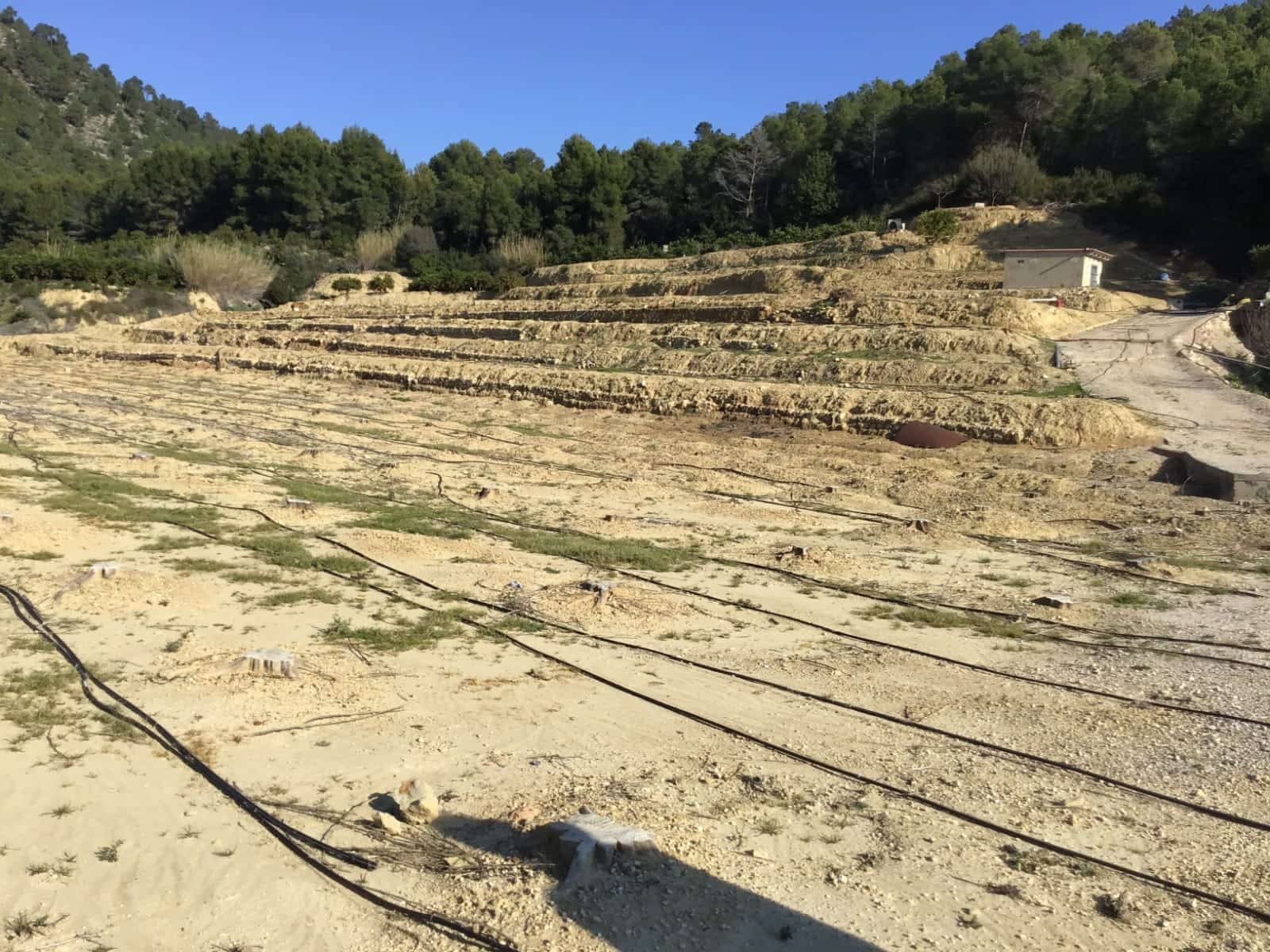 Solar/Parcela en Ador en venta - 70.000 € (Ref: 8924746)