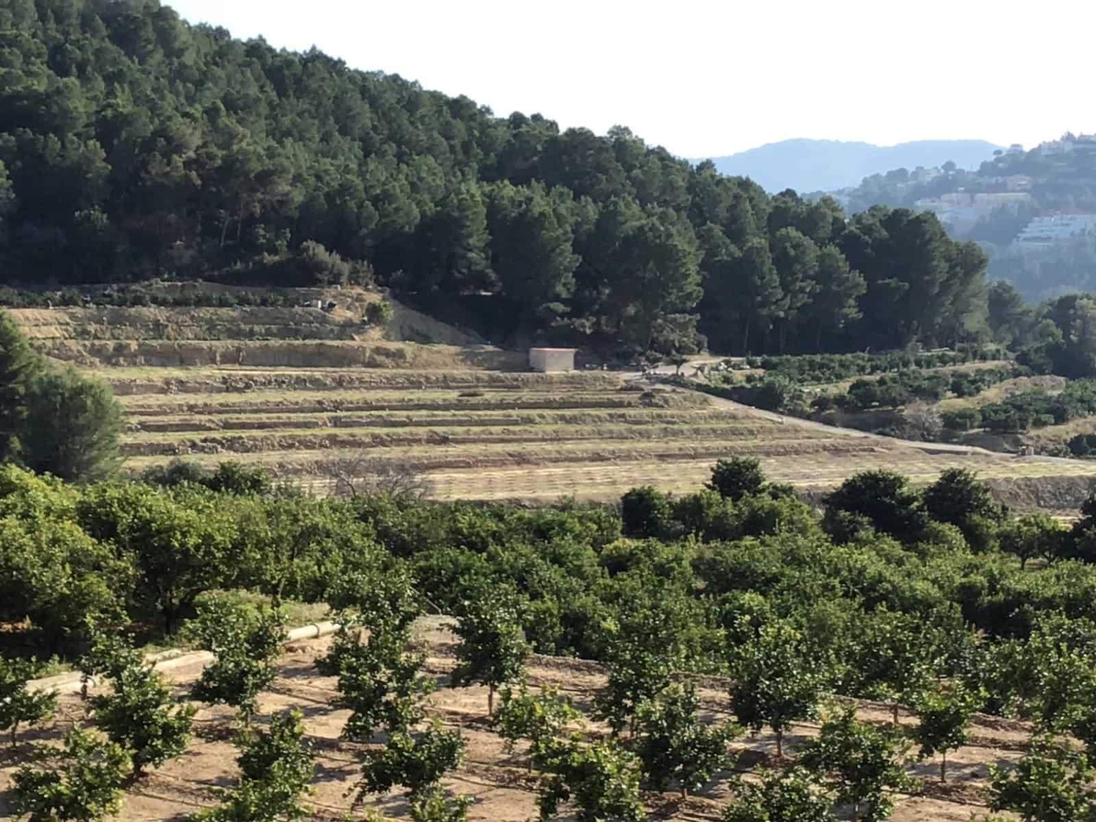 Solar/Parcela en Ador en venta - 70.000 € (Ref: 8924746)