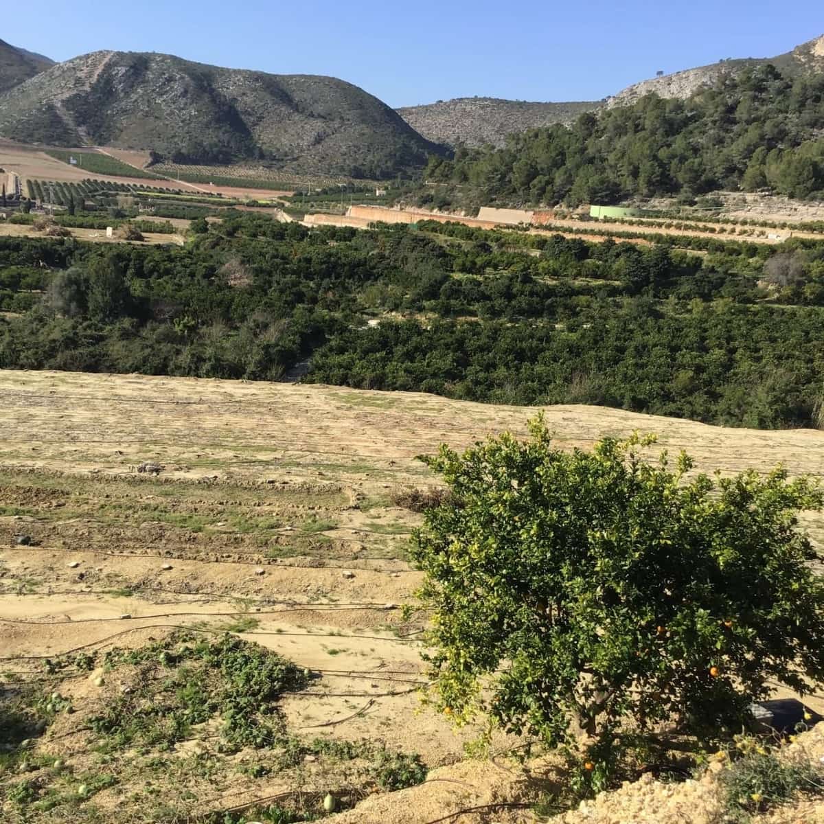 Solar/Parcela en Ador en venta - 70.000 € (Ref: 8924746)