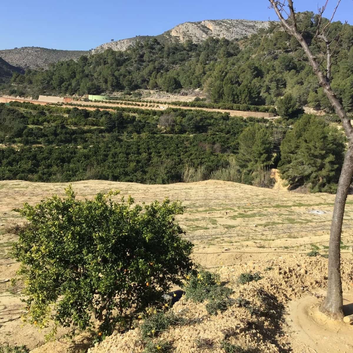 Solar/Parcela en Ador en venta - 70.000 € (Ref: 8924746)