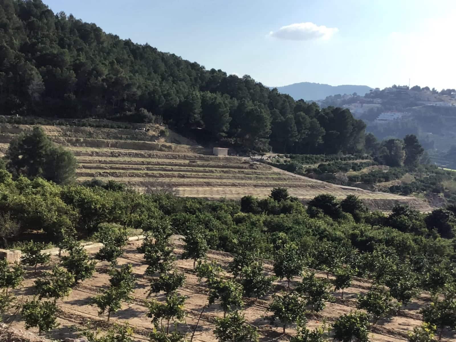 Solar/Parcela en Ador en venta - 70.000 € (Ref: 8924746)