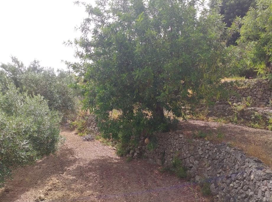 Byggetomt til salgs i Benissa - € 24 500 (Ref: 8987152)