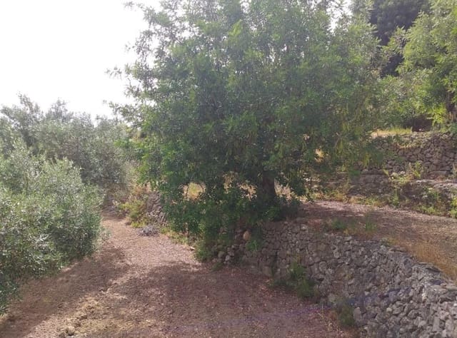 Byggetomt til salgs i Benissa - € 24 500 (Ref: 8987152)