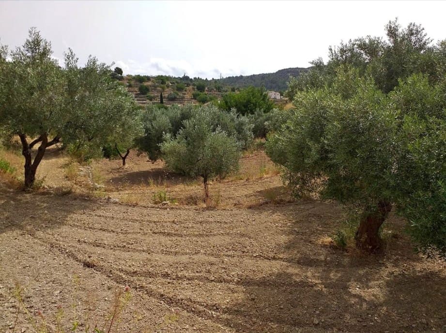 Byggetomt til salgs i Benissa - € 24 500 (Ref: 8987152)