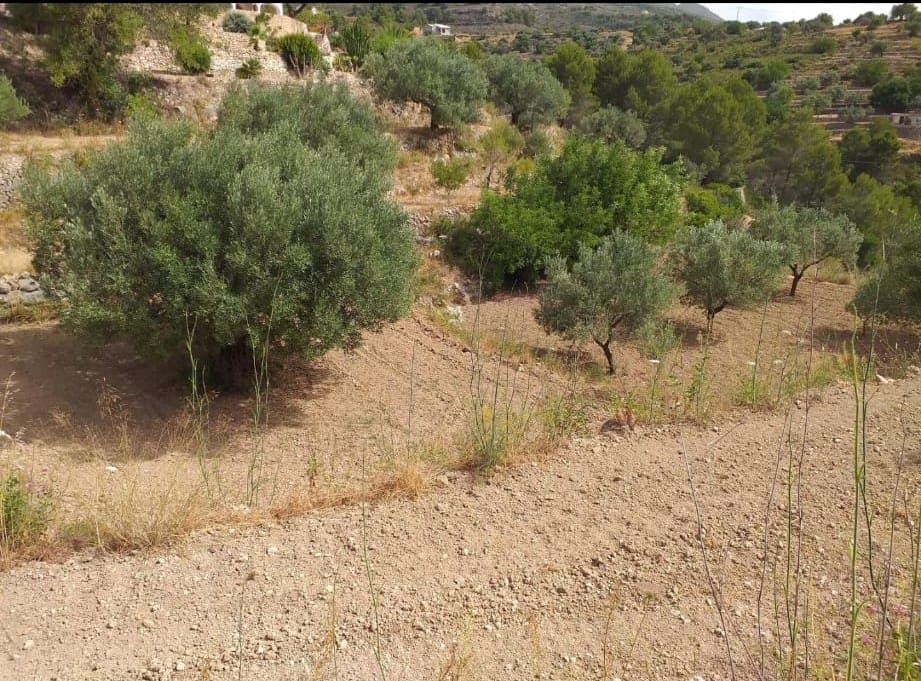 Byggetomt til salgs i Benissa - € 24 500 (Ref: 8987152)