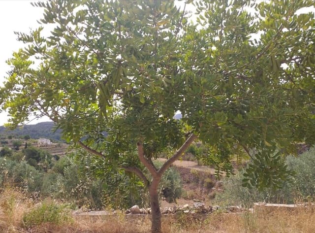 Solar/Parcela en Benissa en venta - 24.500 € (Ref: 8987152)