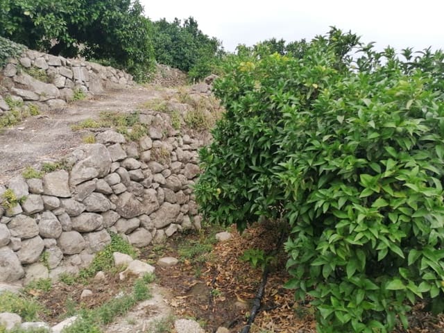 Bouwgrond te koop in Forna, L'Atzúvia - € 58.500 (Ref: 9094655)