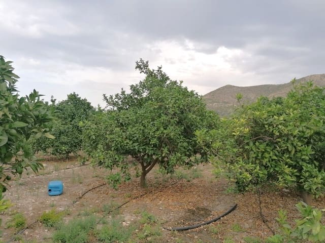 Bouwgrond te koop in Forna, L'Atzúvia - € 58.500 (Ref: 9094655)