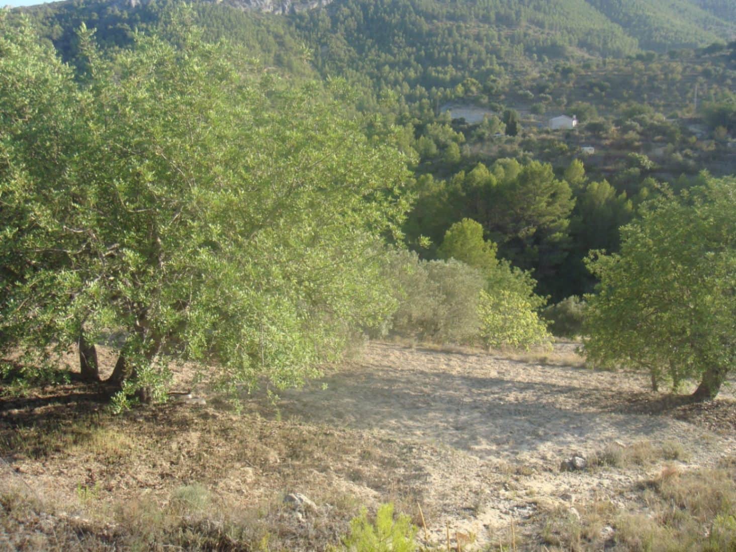 Byggetomt til salgs i Benissa - € 96 250 (Ref: 9160259)