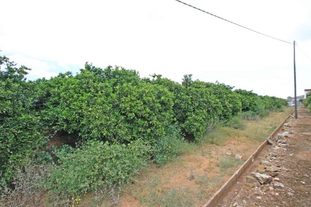 Działka budowlana na sprzedaż w Dénia - 215 000 € (Ref: 9162901)