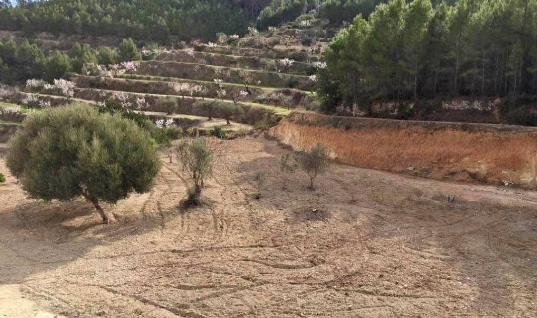 Tontti myytävänä paikassa Benissa - 35 500 € (Ref: 9162914)