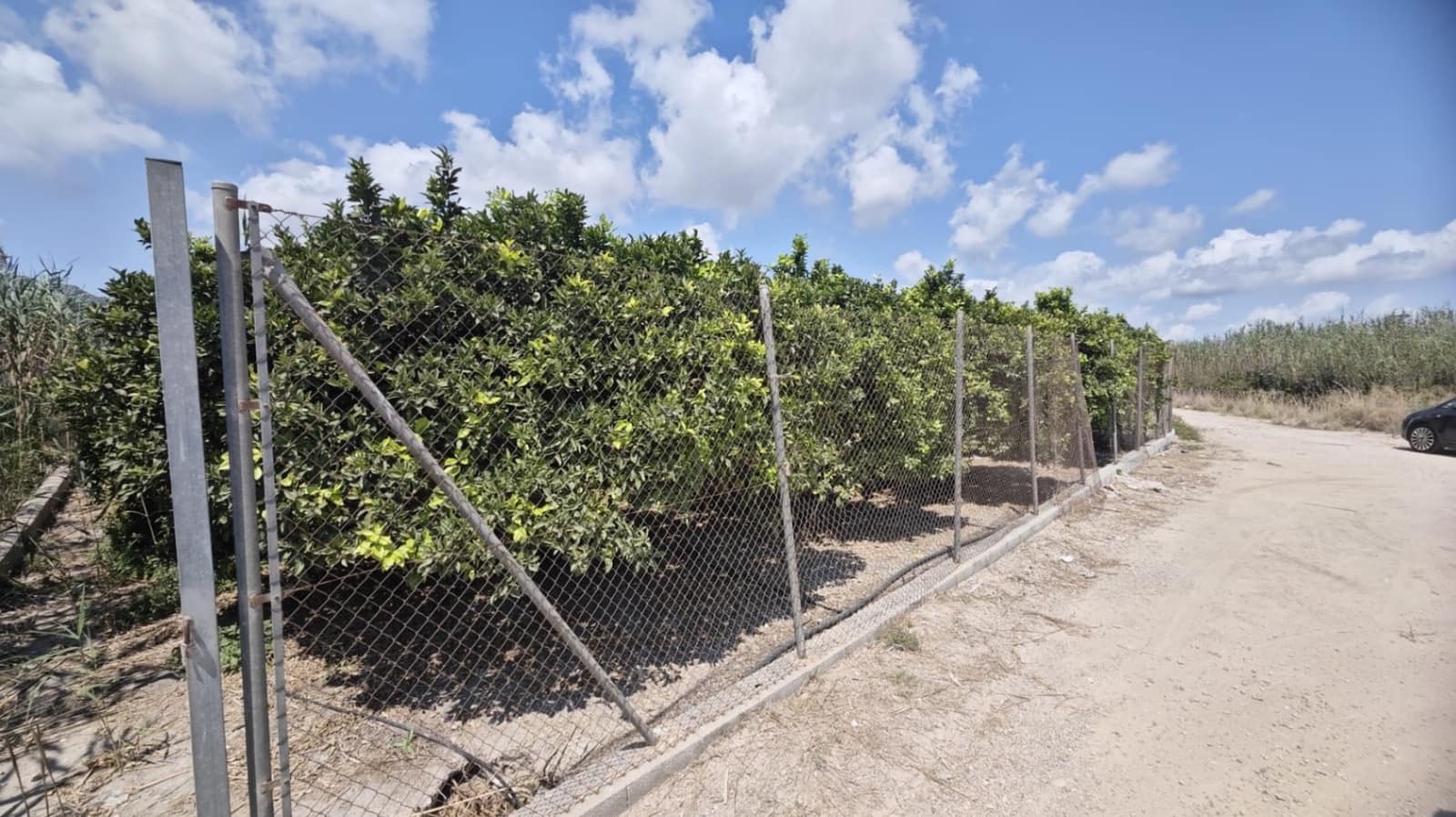 Byggetomt til salgs i Tavernes de la Valldigna - € 15 000 (Ref: 9162917)