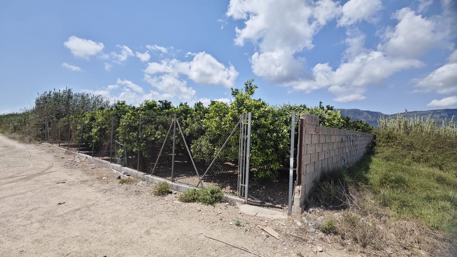 Byggetomt til salgs i Tavernes de la Valldigna - € 15 000 (Ref: 9162917)