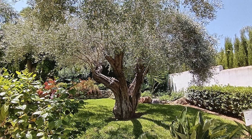 3 soveværelse Villa til salg i Pedreguer med swimmingpool garage - € 960.000 (Ref: 9180367)