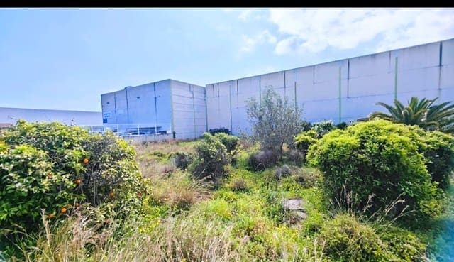 Building Plot for sale in Alqueria de la Comtessa - € 125,000 (Ref: 9249426)