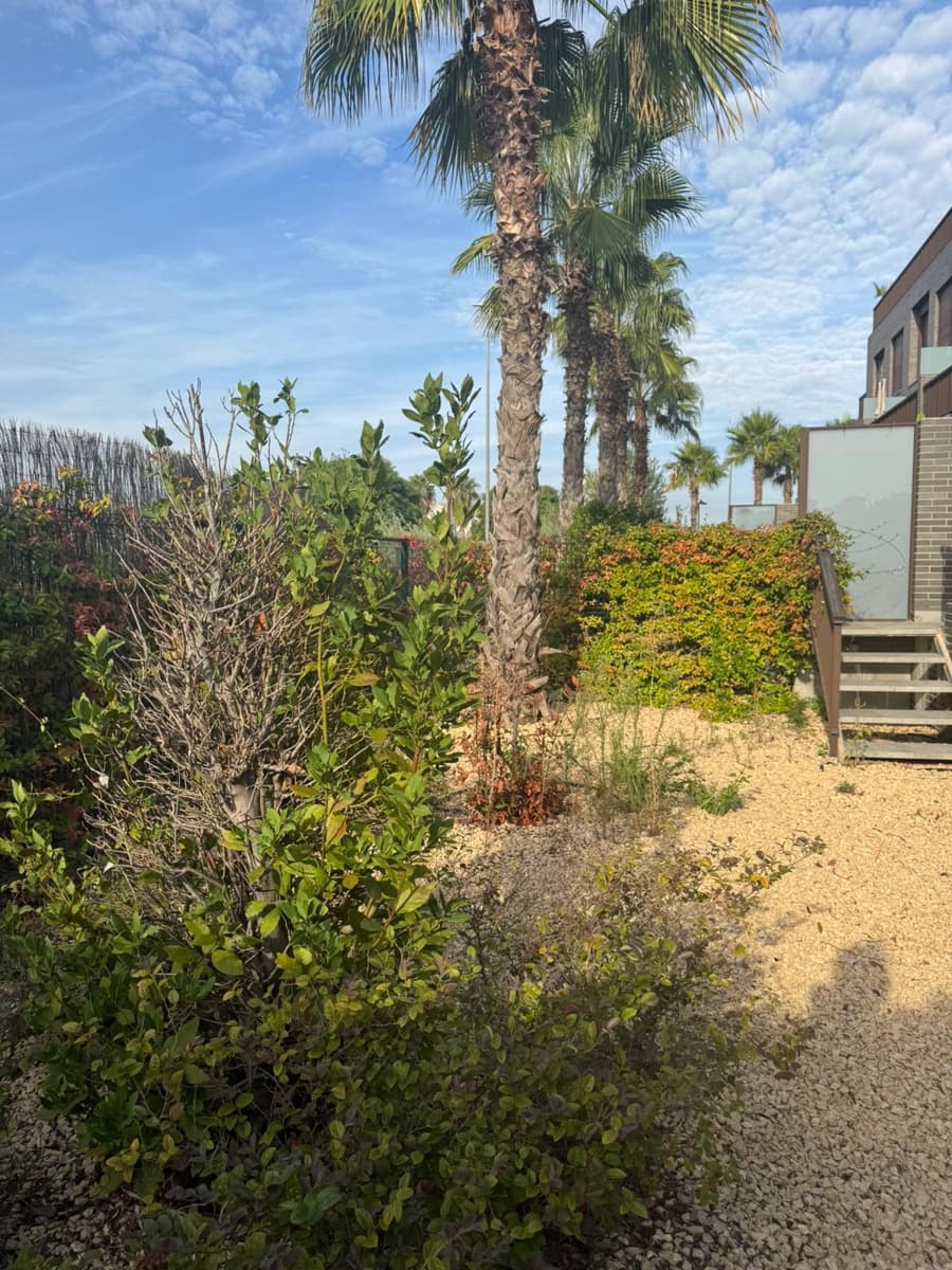 2 makuuhuone Huoneisto vuokrattavana paikassa Denia mukana uima-altaan 
autotalli - 1 050 € (Ref: 9278589)