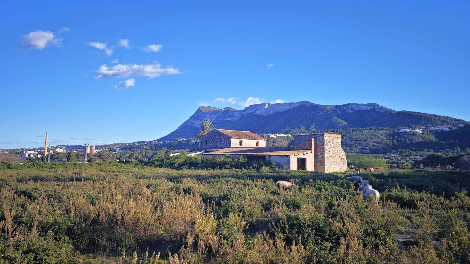 Tomt till salu i Denia - 550 000 € (Ref: 9421616)