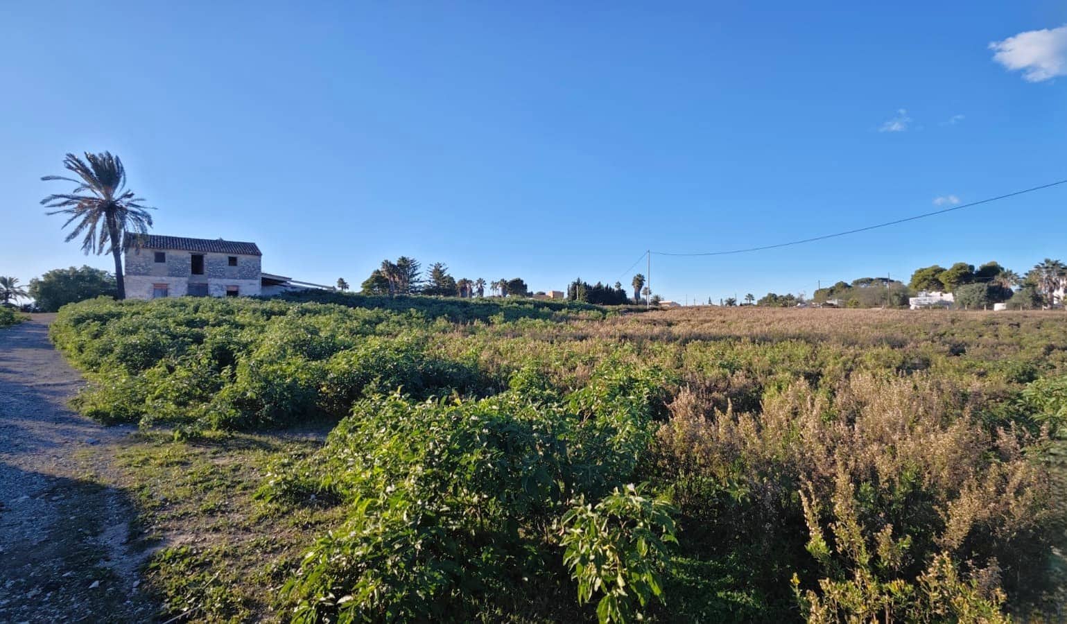 Tomt till salu i Denia - 550 000 € (Ref: 9421616)