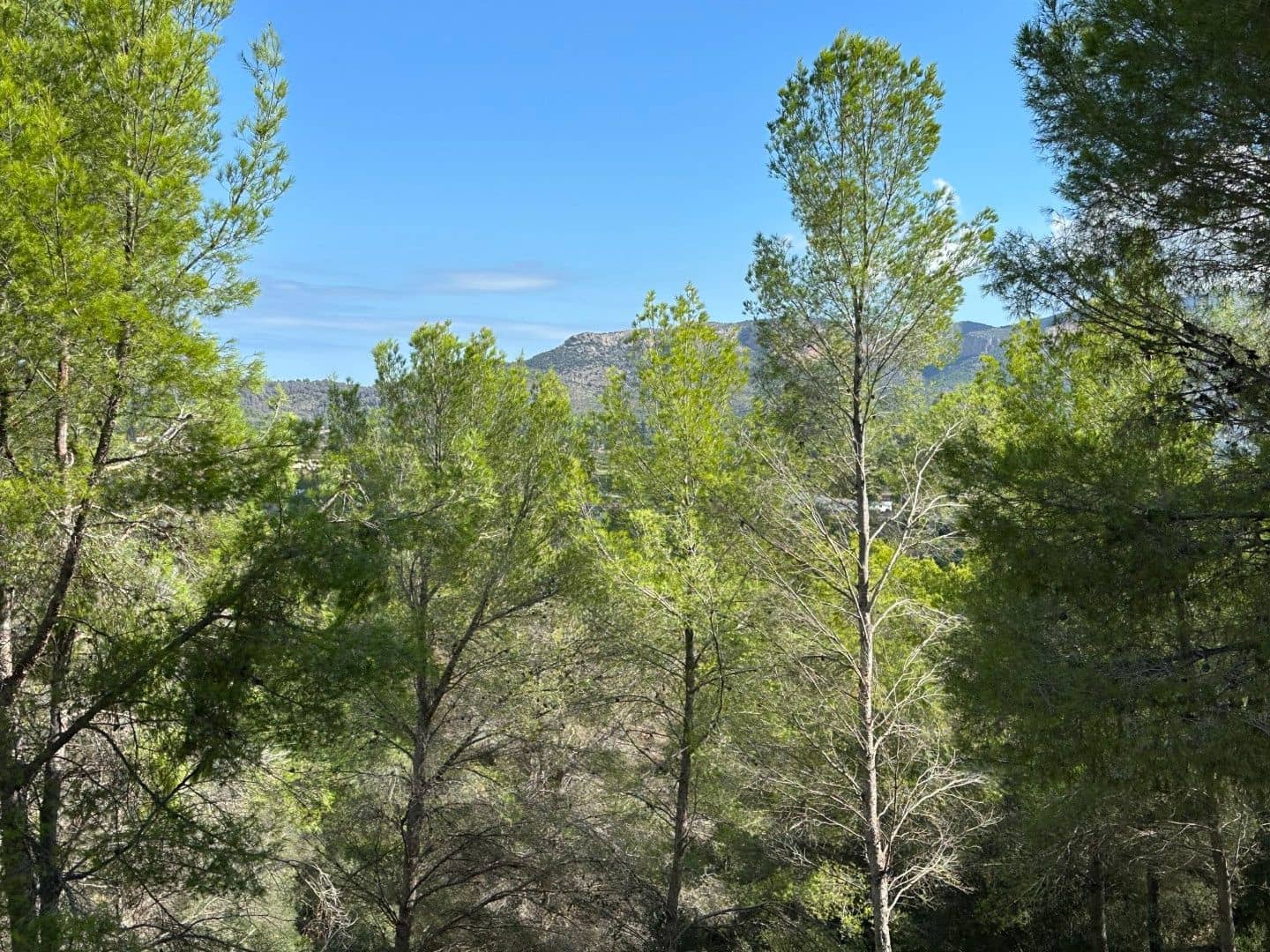 2 Zimmer Villa zu verkaufen in Pedreguer - 275.000 € (Ref: 9421620)