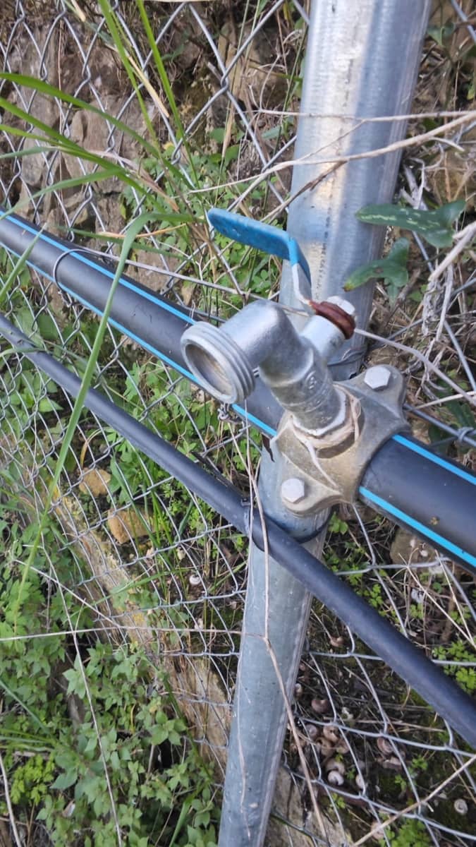 Tontti myytävänä paikassa Potries - 28 900 € (Ref: 9447351)