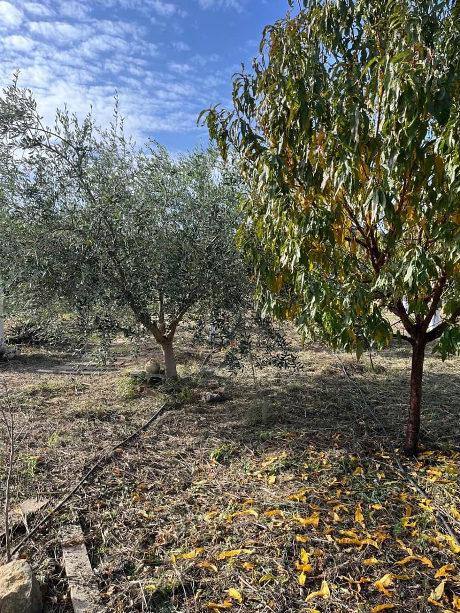 Tontti myytävänä paikassa Potries - 28 900 € (Ref: 9447351)