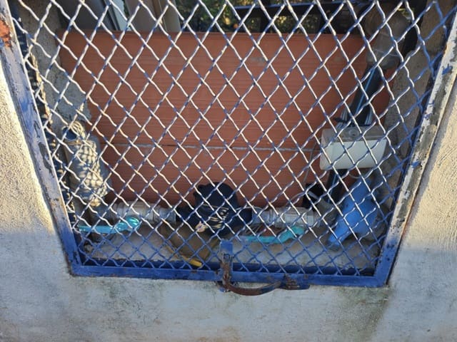 Finca/Casa Rural de 4 habitaciones en Ondara en venta con garaje - 99.000 € (Ref: 9625090)