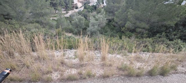 Bauplatz zu verkaufen in Pedreguer - 66.000 € (Ref: 9708994)