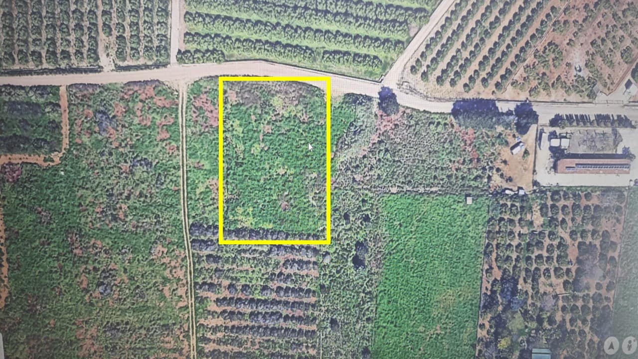 Działka budowlana na sprzedaż w El Vergel / Verger - 28 000 € (Ref: 9829946)