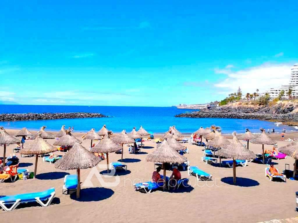 Estúdio para venda em Adeje com piscina - 240 000 € (Ref: 9357388)