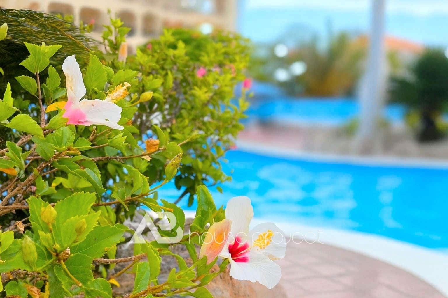 1 bedroom Flat for sale in Arona with pool - € 320,000 (Ref: 9419352)