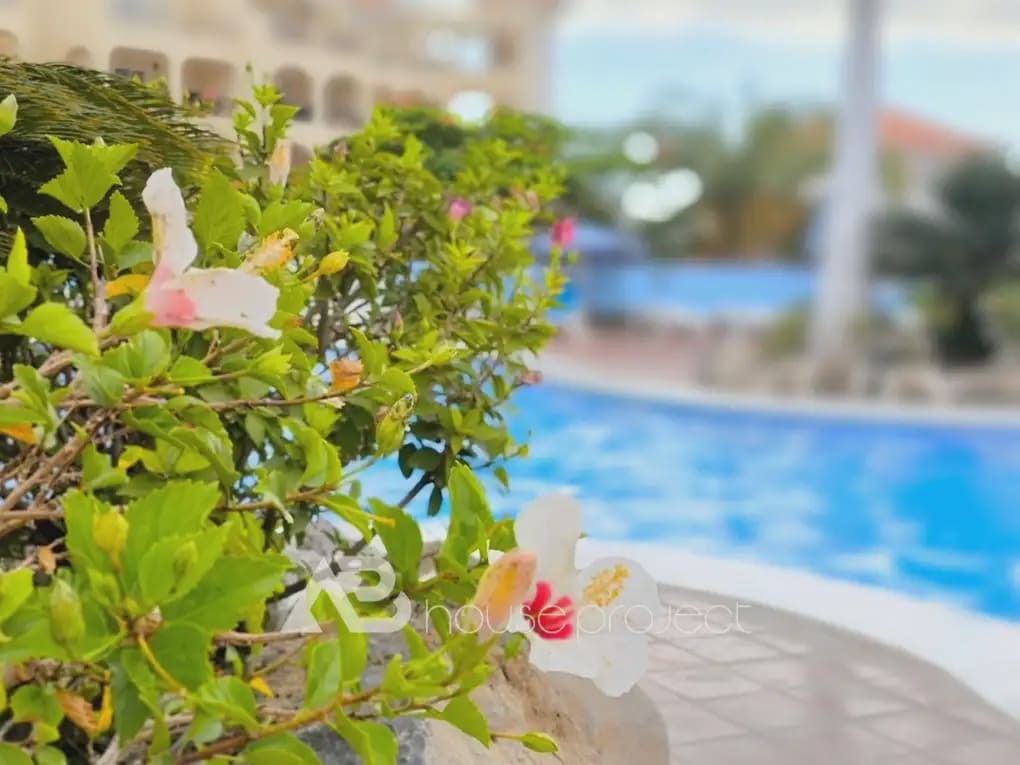 1 chambre Appartement à vendre à Arona avec piscine - 285 000 € (Ref: 9788021)