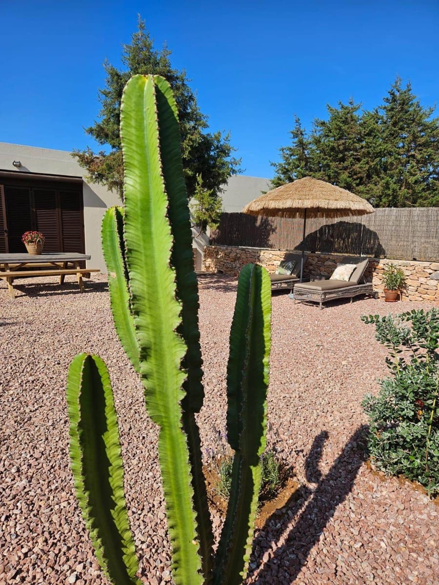 8 soveværelse Villa til salg i Formentera kommune med swimmingpool garage - € 3.180.000 (Ref: 10033317)