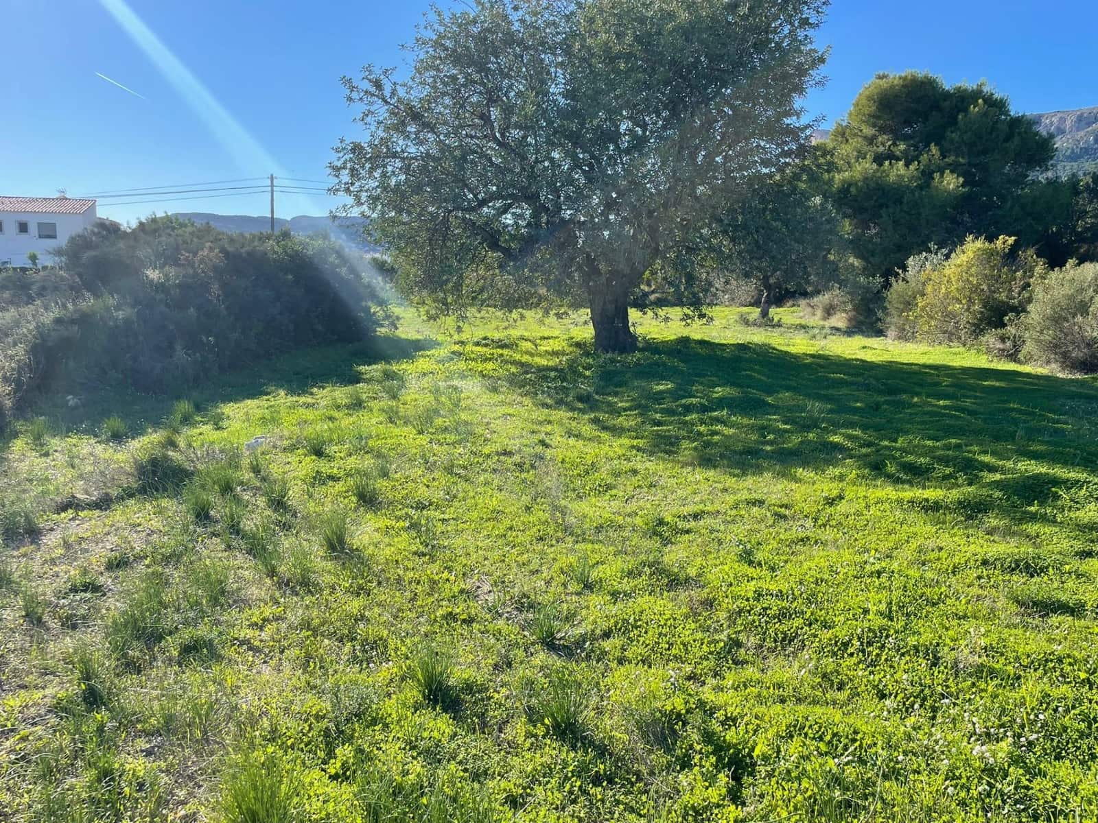 Tomt till salu i Calpe / Calp - 1 600 000 € (Ref: 8193250)