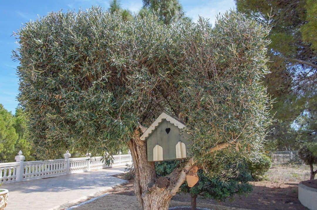 8 bedroom Villa for sale in La Nucia with pool - € 2,500,000 (Ref: 8297788)