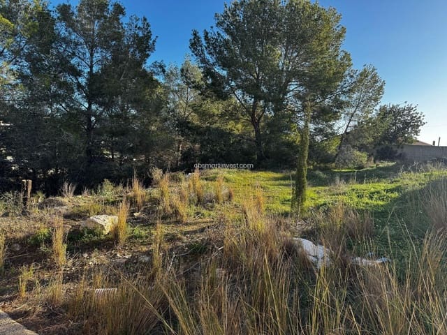 Bouwgrond te koop in Benissa - € 520.000 (Ref: 9564319)